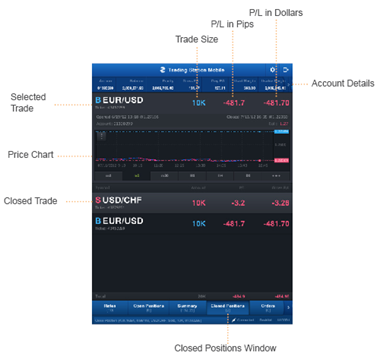 Chapter 6: Closed Positions Window « Support TS Mobile Guide
